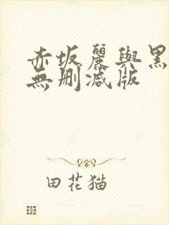 赤坂丽与黑人的无删减版