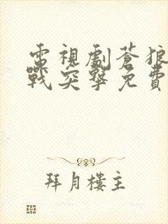 电视剧苍狼之特战突击免费观看