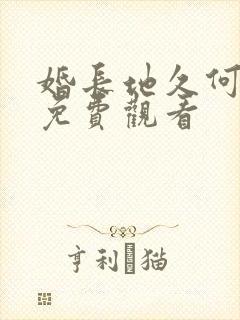 婚长地久何连飞免费观看