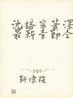 沈榕宁萧泽小说最新章节全文阅读封面