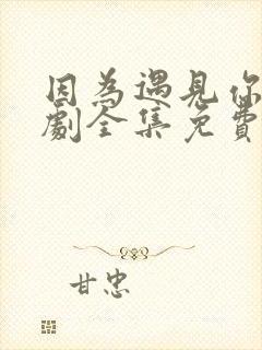 因为遇见你电视剧全集免费高清