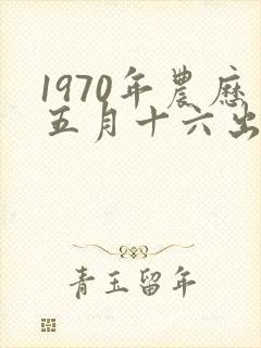 1970年农历五月十六出生的人的命运