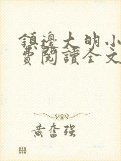 镇边大明小说免费阅读全文最新章节