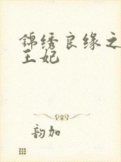 锦绣良缘之北地王妃