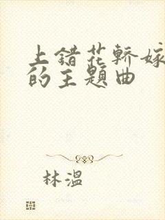 上错花轿嫁错郎的主题曲封面