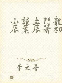 小说上门龙婿叶辰叶辰萧初然