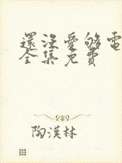 还没爱够电视剧全集免费封面