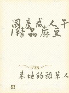 国产成人午夜91精品麻豆封面