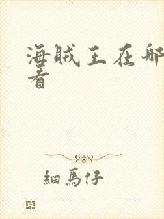 海贼王在哪里能看