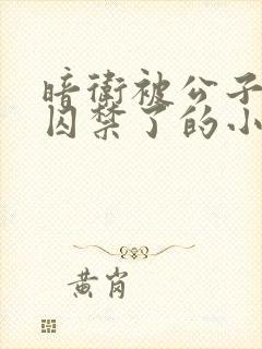 暗卫被公子抓回囚禁了的小说