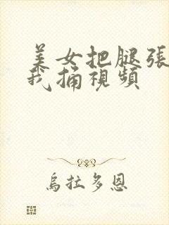 美女把腿张开让我捅视频