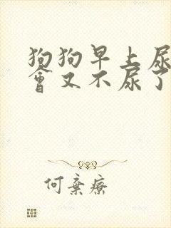 狗狗早上尿血一会又不尿了封面