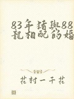 83年猪与88龙相配的婚姻如何