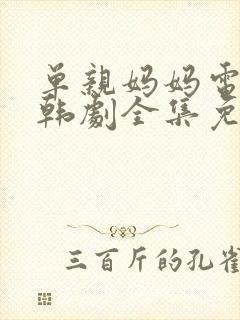 单亲妈妈电视剧韩剧全集免费观看封面