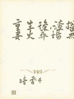 重生后,渣总追妻火葬场 无尽夏