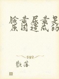 脸黄尿黄是什么原因造成的