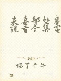 夫妻那些事免费观看全集电视剧封面