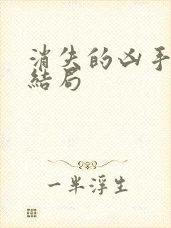 消失的凶手子昂结局