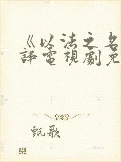 《以法之名》张译电视剧免费观看