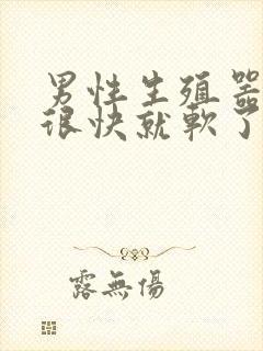 男性生殖器勃起很快就软了