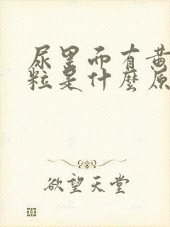 尿里面有黄色颗粒是什么原因封面