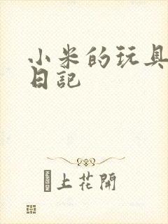 小米的玩具羞辱日记