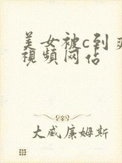 美女被c到爽哭视频网站
