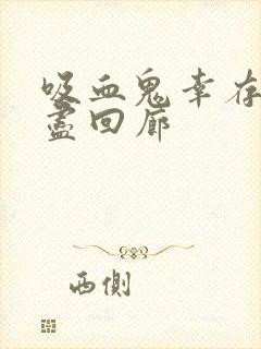 吸血鬼幸存者无尽回廊封面