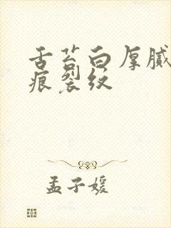 舌苔白厚腻有齿痕裂纹