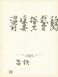 温暖总裁的替身前妻免费阅读