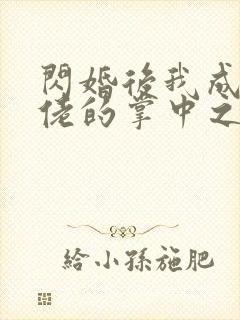 闪婚后我成了大佬的掌中之物 01