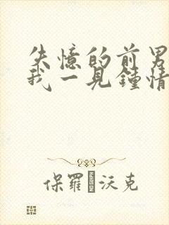 失忆的前男友对我一见钟情了