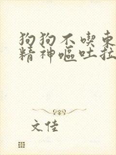 狗狗不吃东西没精神呕吐拉稀