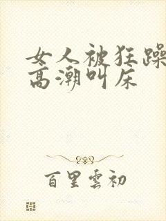 女人被狂躁c到高潮叫床