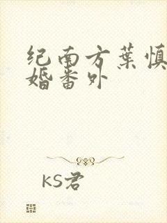 纪南方叶慎守复婚番外
