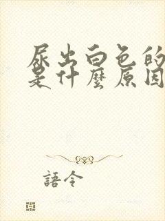 尿出白色的液体是什么原因