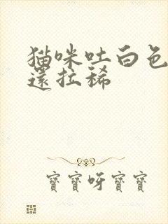 猫咪吐白色泡沫还拉稀