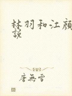 林羽和江颜的小说封面
