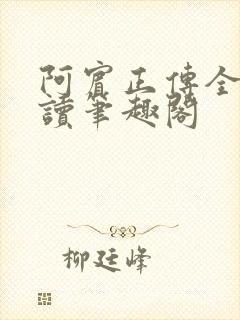 阿宾正传全文阅读笔趣阁