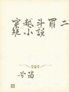 穿越斗罗二的系统小说