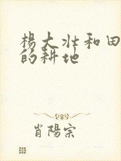 杨大壮和田桂花的耕地