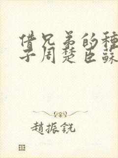 借兄弟的种生孩子周楚臣苏糖