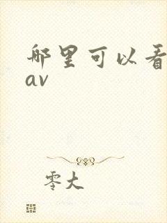 哪里可以看麻豆av