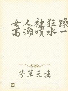 女人被狂躁c到高潮喷水一区二区