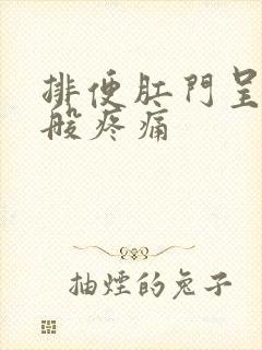 排便肛门呈撕裂般疼痛