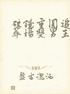 破镜重圆追夫火葬场双男主