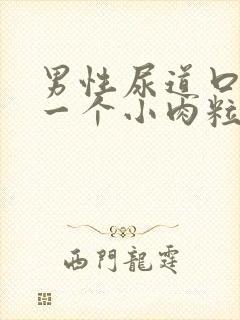 男性尿道口上长一个小肉粒