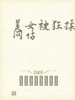 美女被狂揉大胸网站
