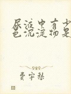 尿液中有少量白色沉淀物是什么原因