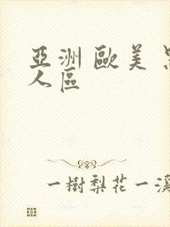 亚洲 欧美 黑人区